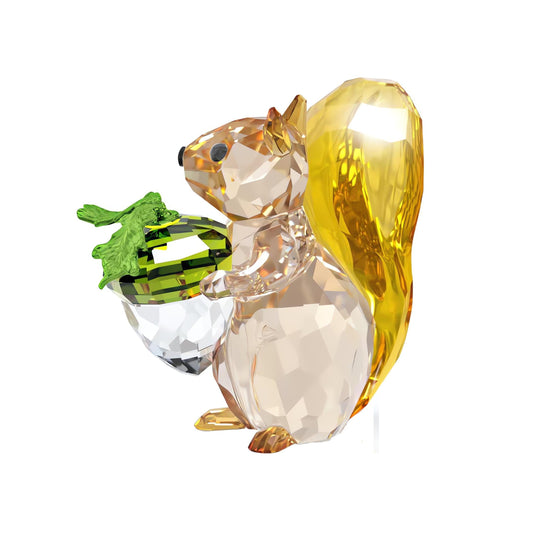 Idyllia Ardilla y Bellota