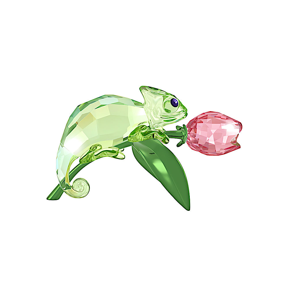 Idyllia Camaleón y tulipán