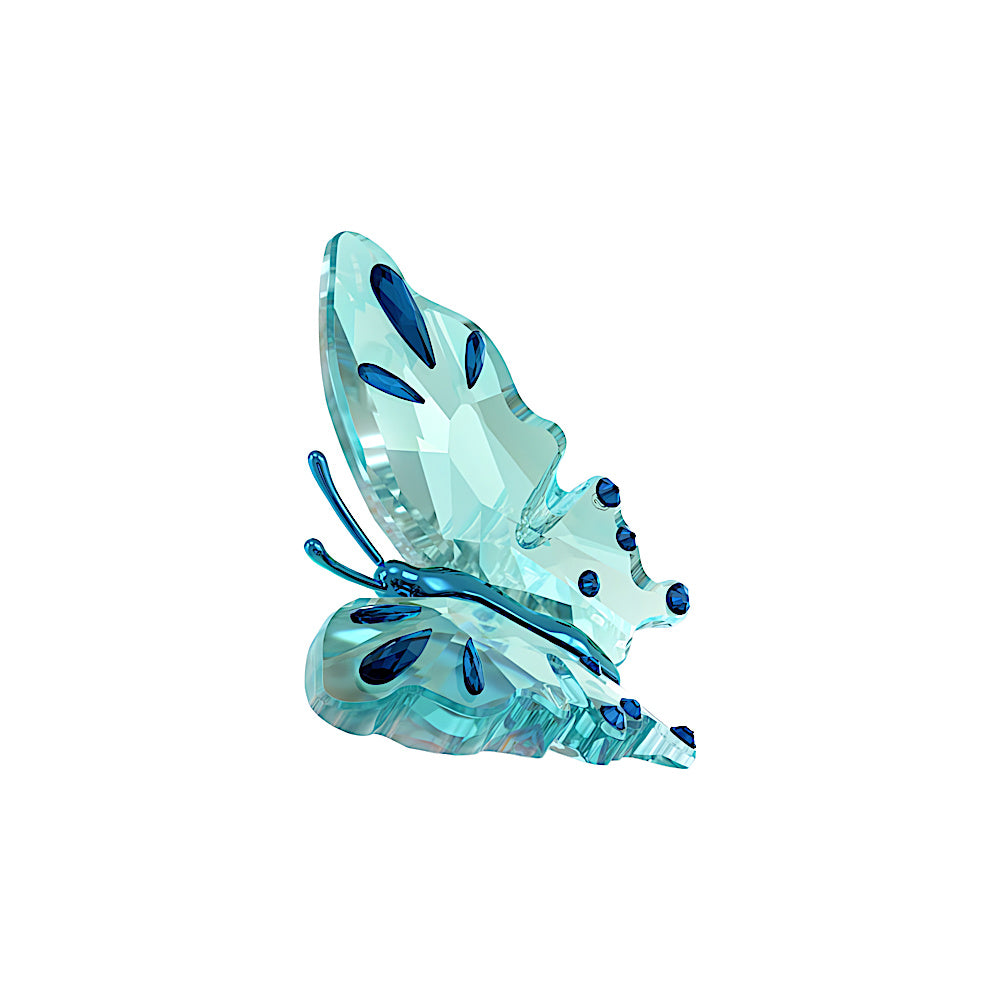 Idyllia Mariposa, Turquesa