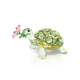 Idyllia Tortuga y margarita