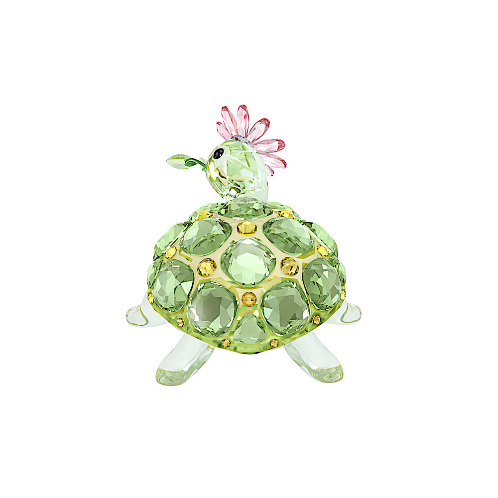 Idyllia Tortuga y margarita