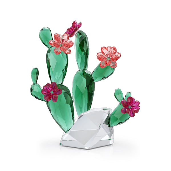 Crystal Flowers Cactus Rosa del desierto