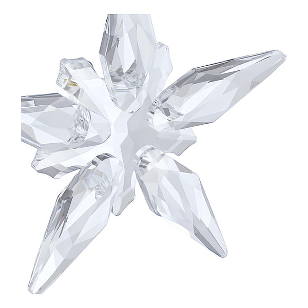 Annual Edition Decoración Little Star 2025