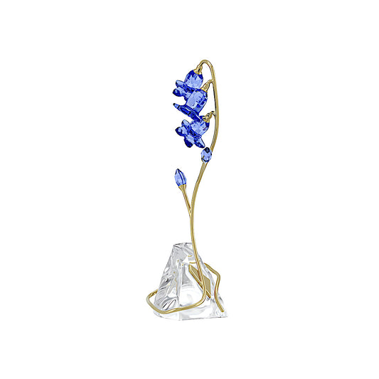 Florere Campanilla de hoja redondeada