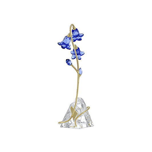 Florere Campanilla de hoja redondeada