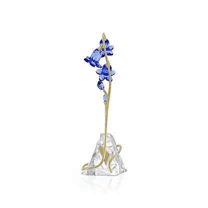 Florere Campanilla de hoja redondeada