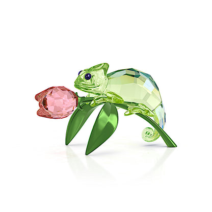 Idyllia Camaleón y tulipán