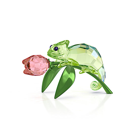 Idyllia Camaleón y tulipán
