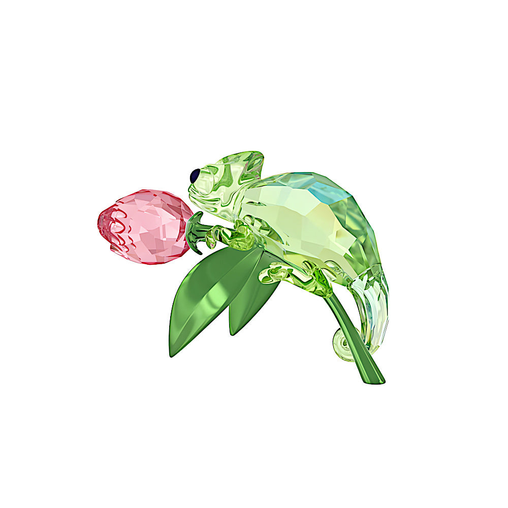 Idyllia Camaleón y tulipán
