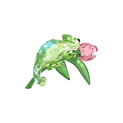 Idyllia Camaleón y tulipán