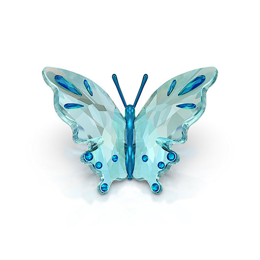 Idyllia Mariposa, Turquesa