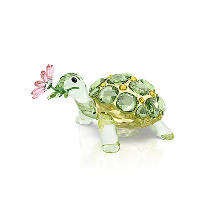 Idyllia Tortuga y margarita