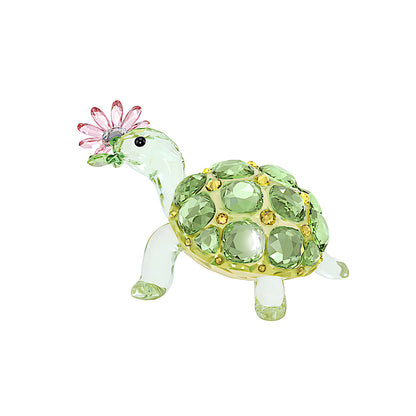 Idyllia Tortuga y margarita