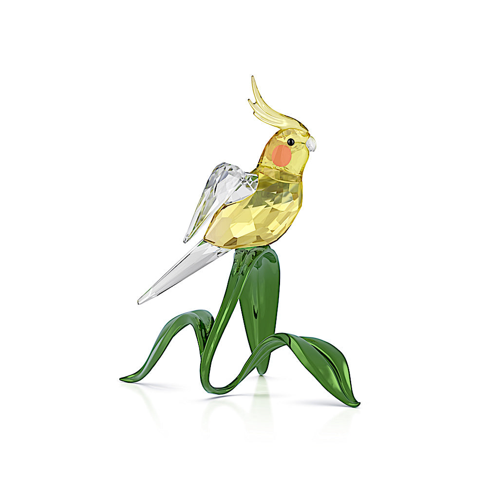 Idyllia Cacatúa