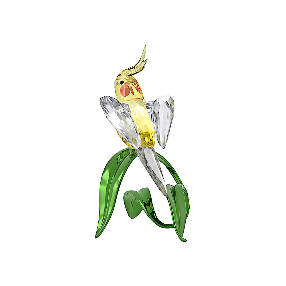 Idyllia Cacatúa