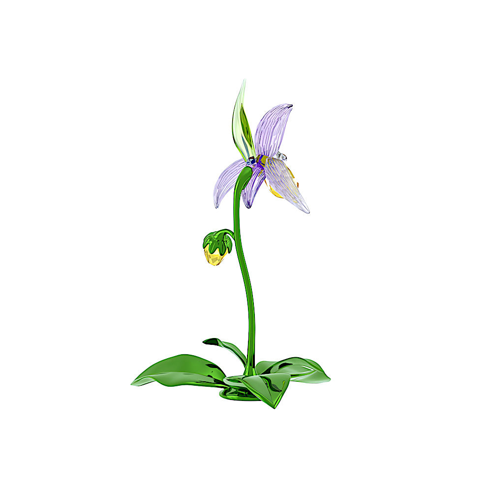 Florere Orquídea zapatilla de dama