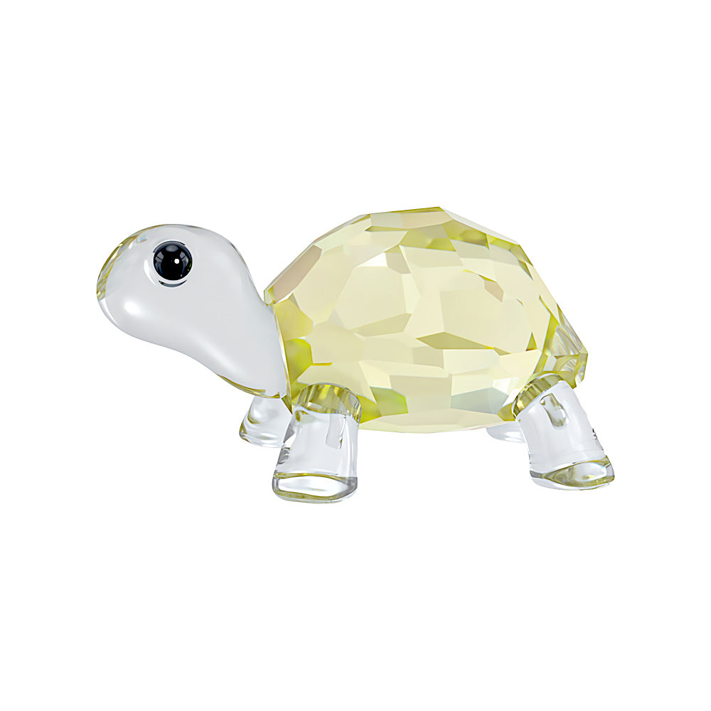 Idyllia Tortuga bebé