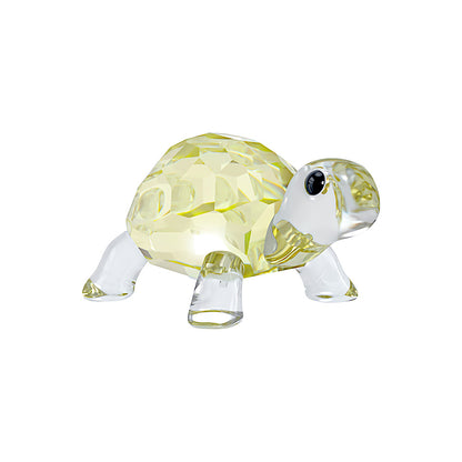 Idyllia Tortuga bebé