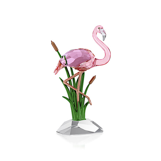 Idyllia Flamenco