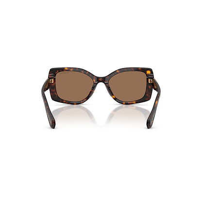 Gafas de sol, Talla cojín, SK6058U, Marrones