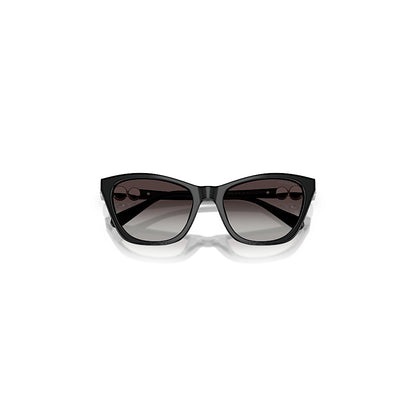 Gafas de sol, Forma de ojo de gato, SK6068, Negras