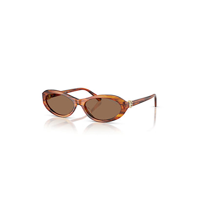 Gafas de sol, Forma ovalada, SK6069, Havana
