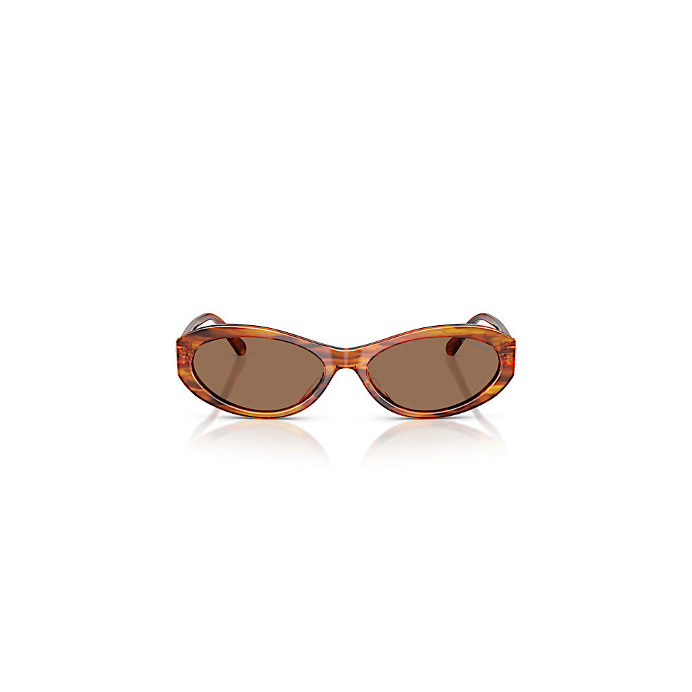 Gafas de sol, Forma ovalada, SK6069, Havana
