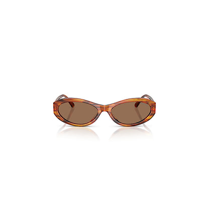 Gafas de sol, Forma ovalada, SK6069, Havana