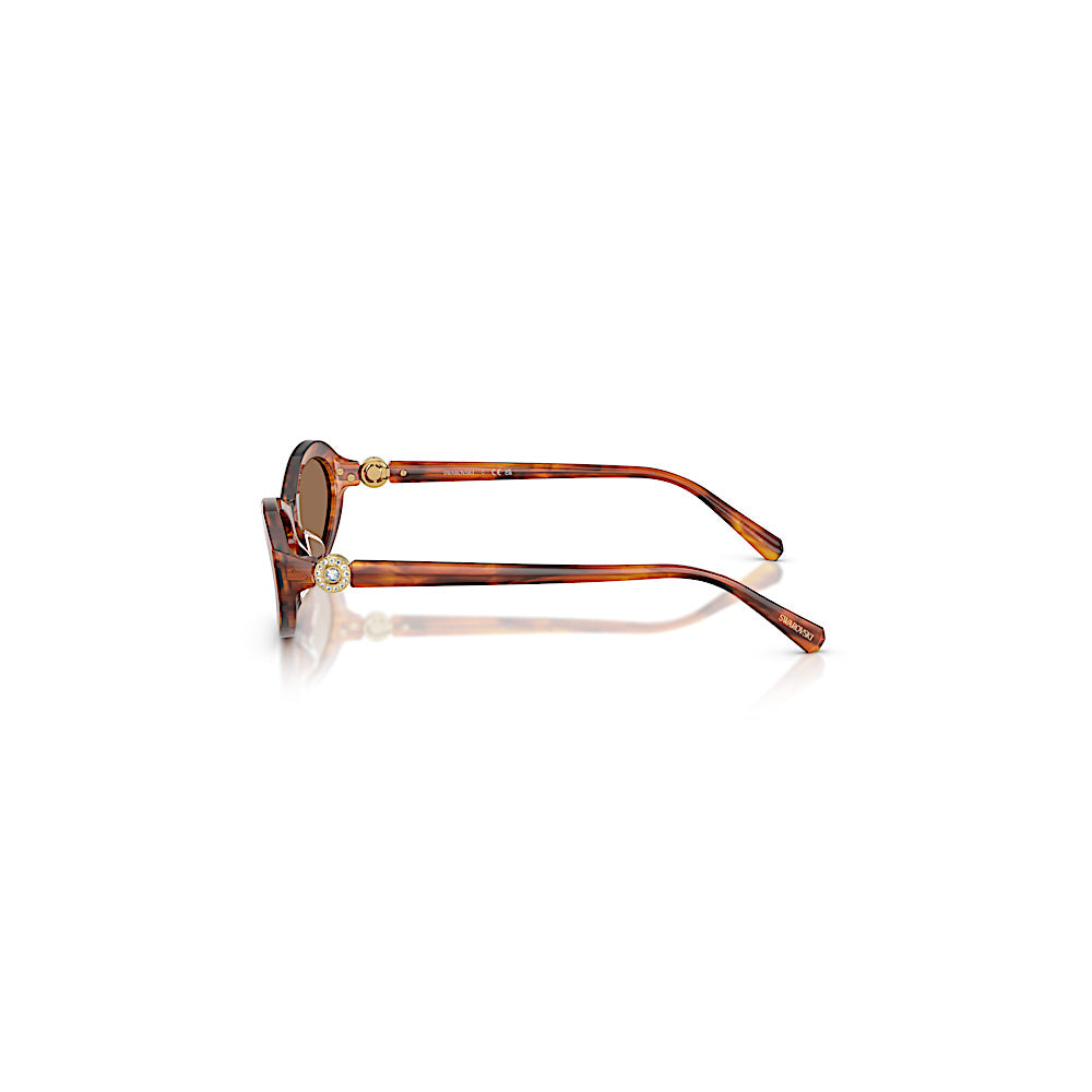 Gafas de sol, Forma ovalada, SK6069, Havana