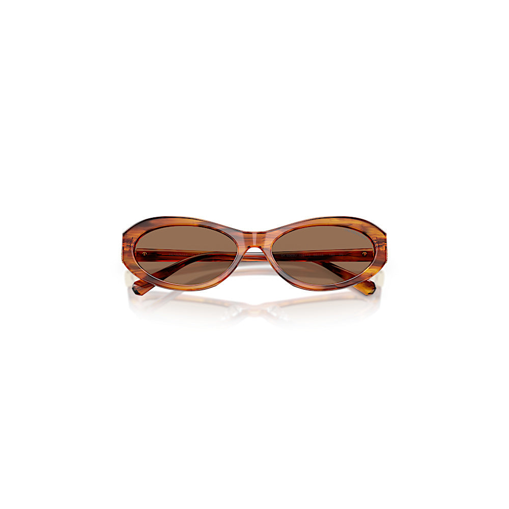 Gafas de sol, Forma ovalada, SK6069, Havana