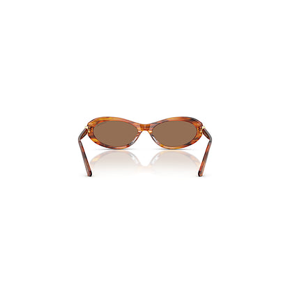 Gafas de sol, Forma ovalada, SK6069, Havana