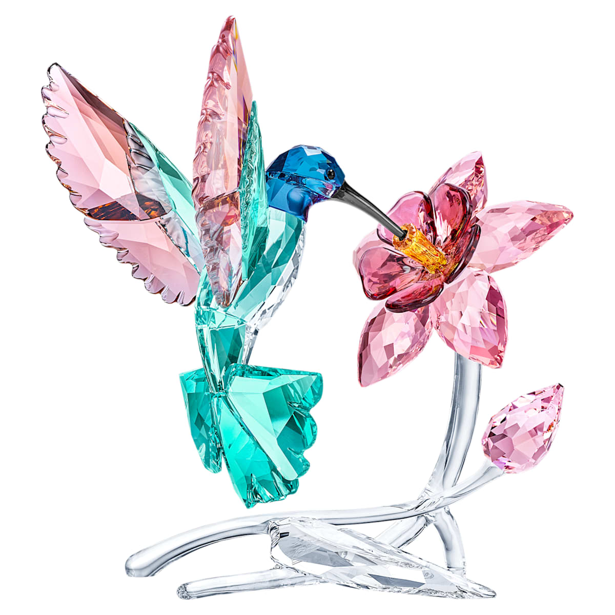 Colibrí