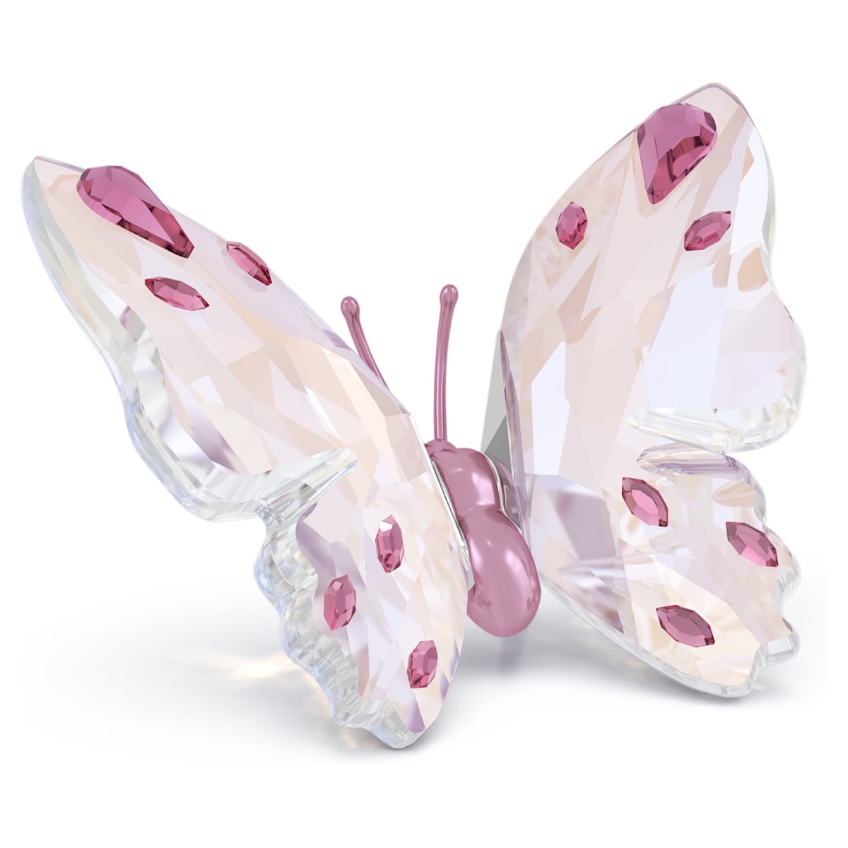 Idyllia Mariposa Pequeña