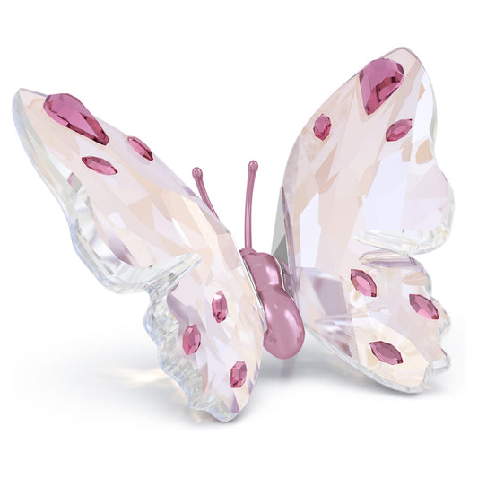 Idyllia Mariposa Pequeña