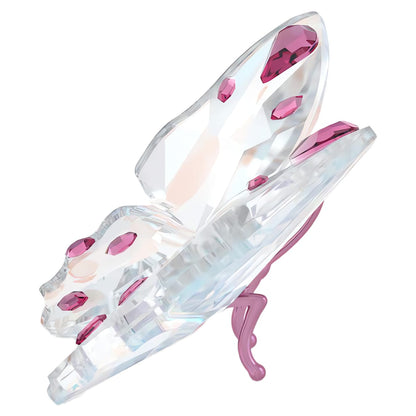 Idyllia Mariposa Pequeña