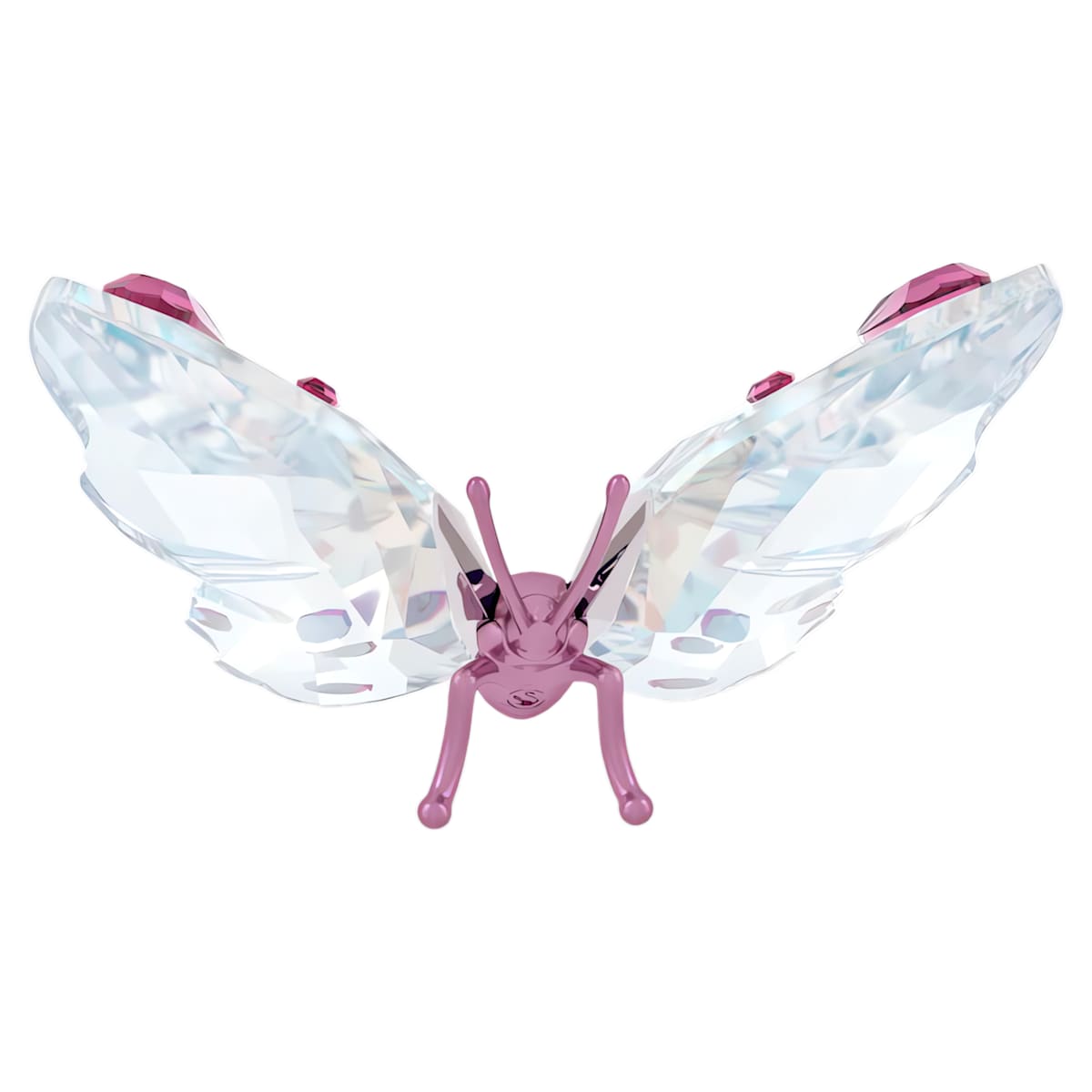 Idyllia Mariposa Pequeña