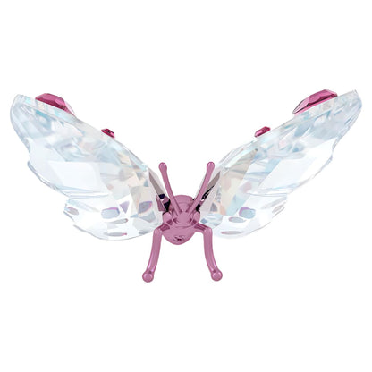 Idyllia Mariposa Pequeña