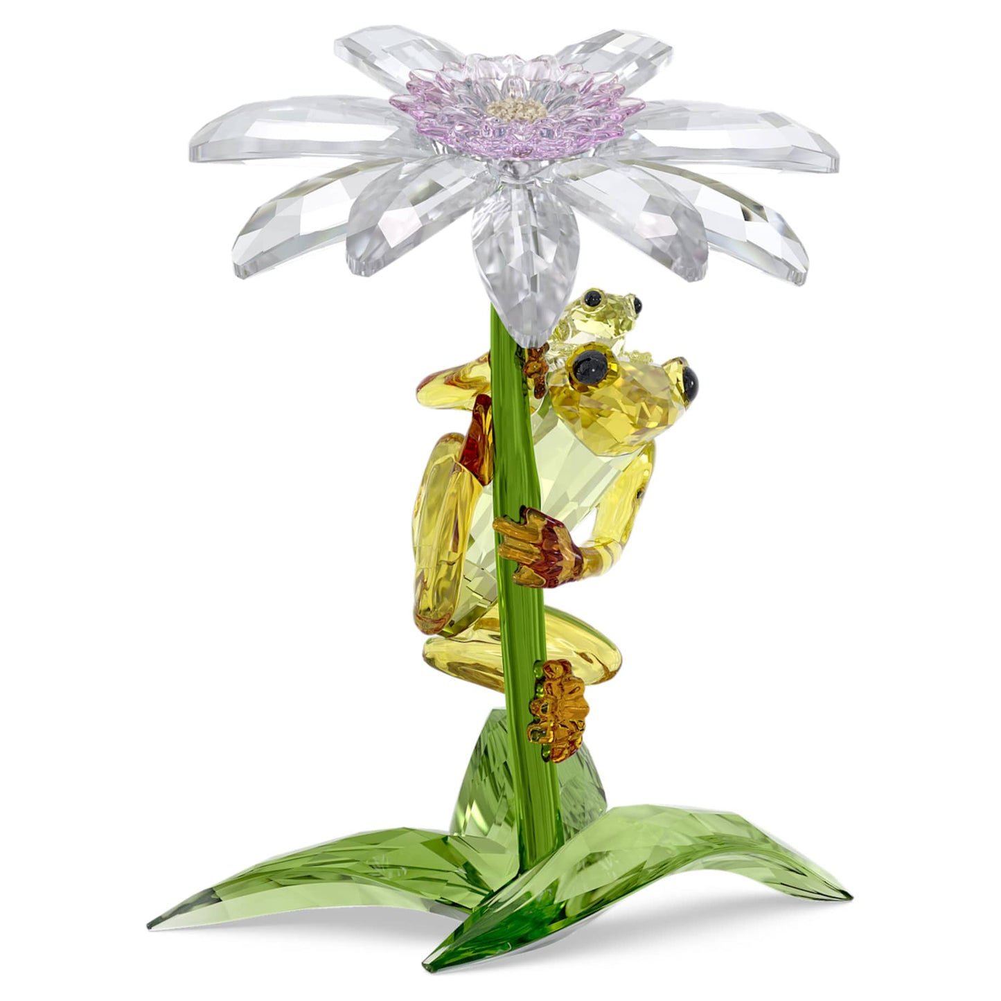 Idyllia Rana y Flor
