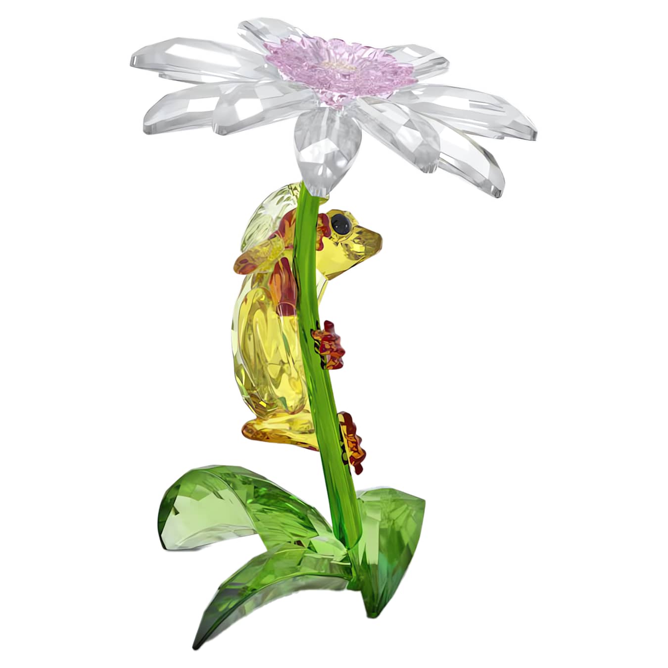 Idyllia Rana y Flor