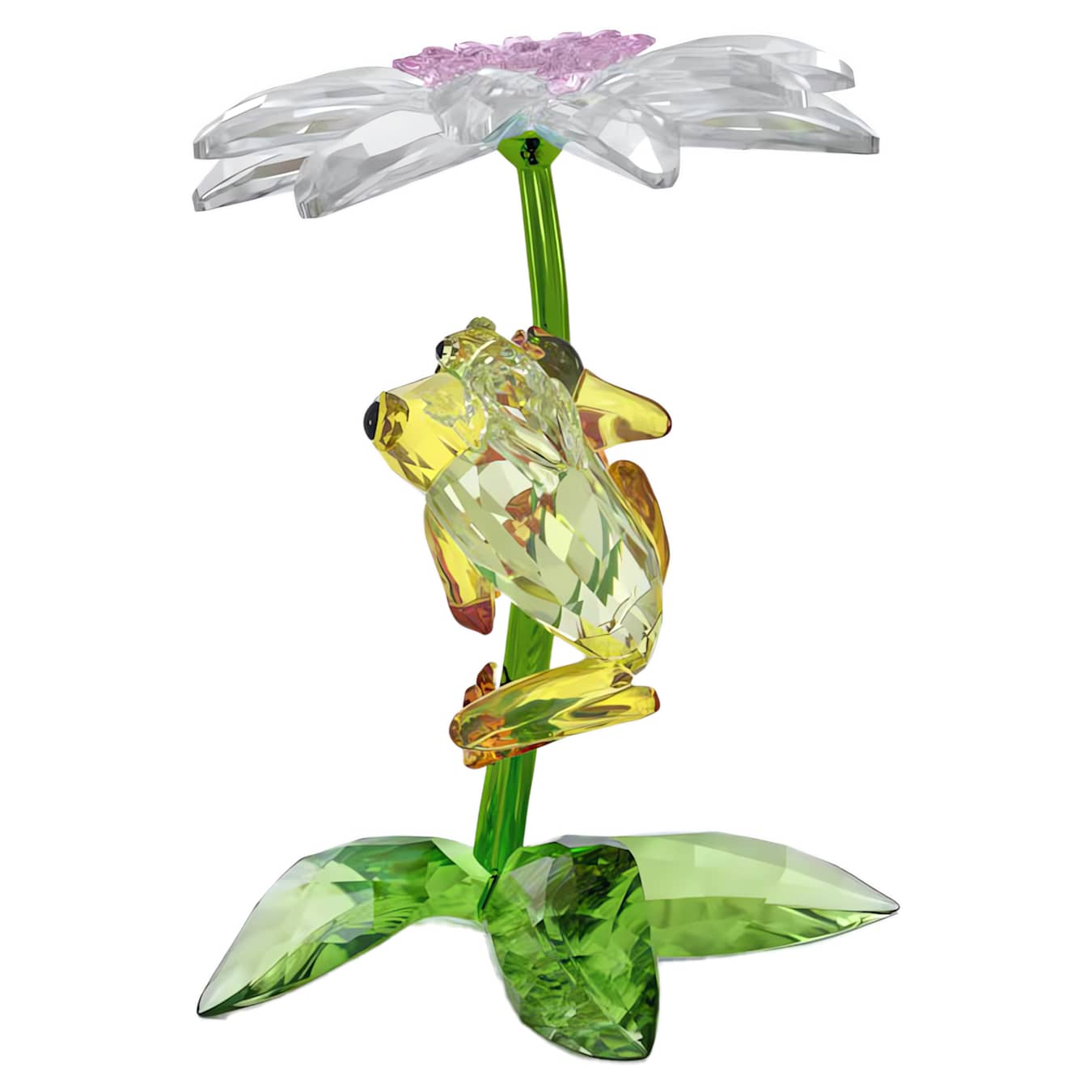 Idyllia Rana y Flor