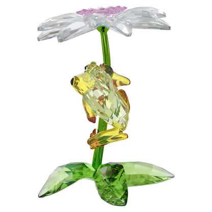 Idyllia Rana y Flor