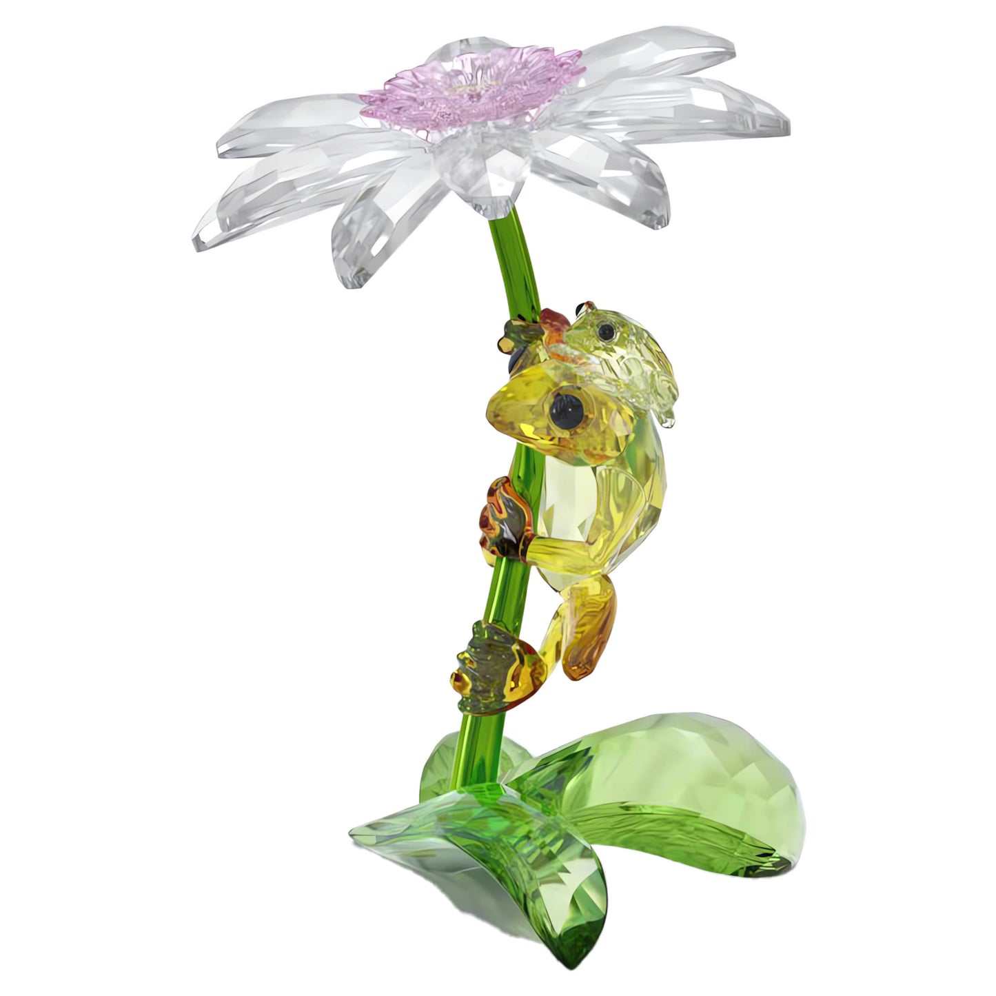 Idyllia Rana y Flor