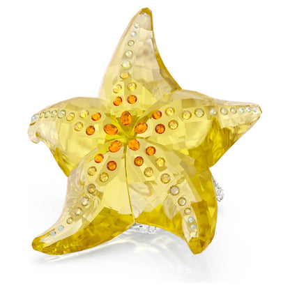 Idyllia SCS Estrella de mar
