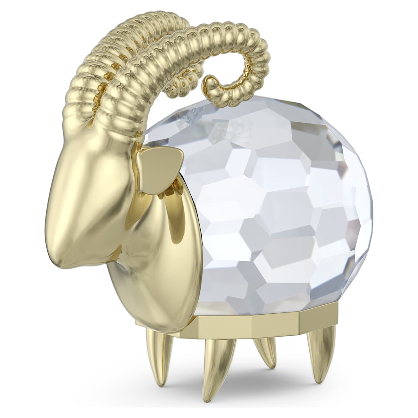 Zodiac Capricornio