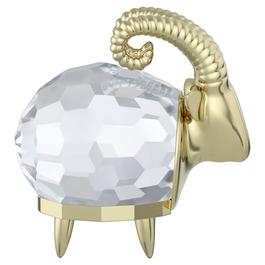 Zodiac Capricornio
