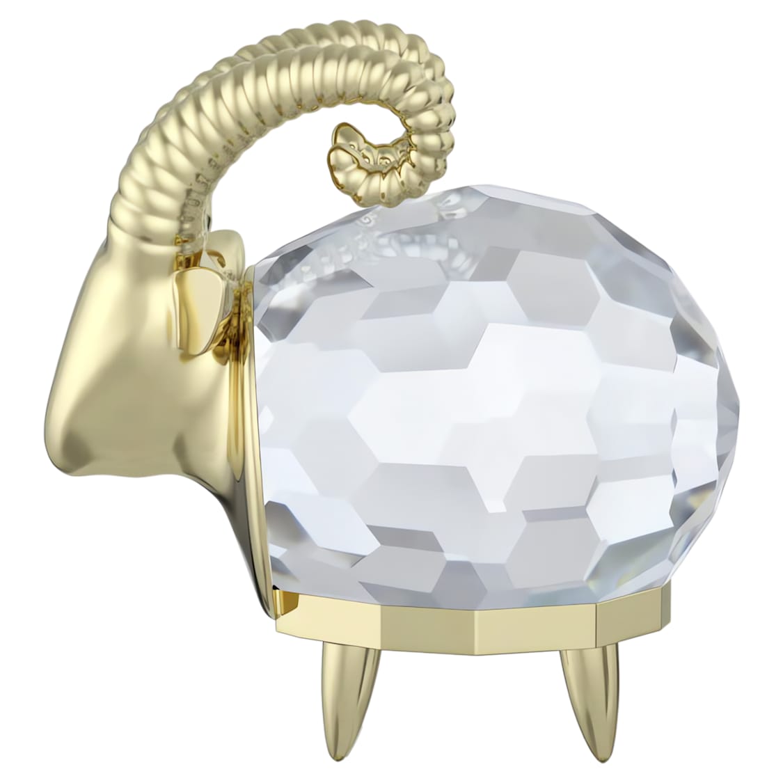 Zodiac Capricornio