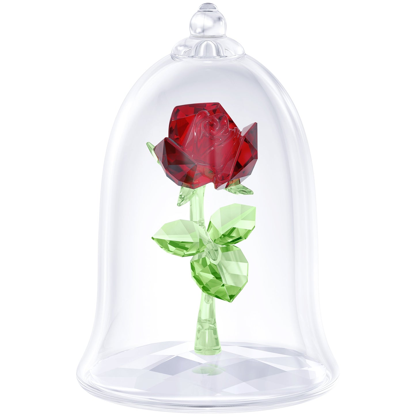 ROSA ENCANTADA