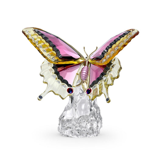 Idyllia Mariposa