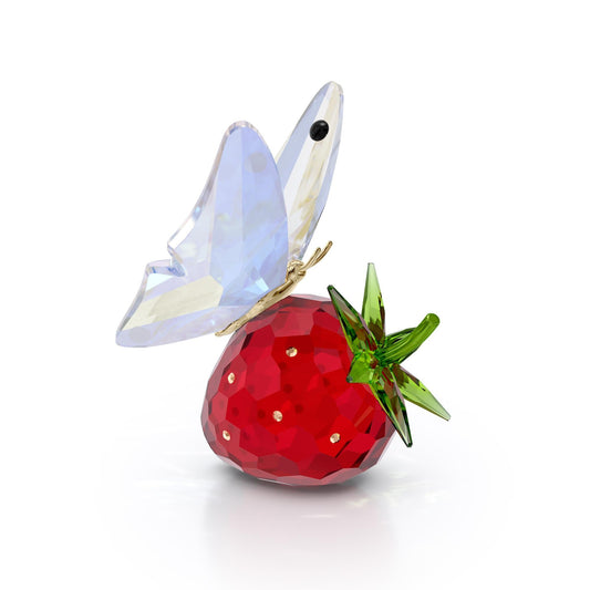 Idyllia Mariposa y Fresa
