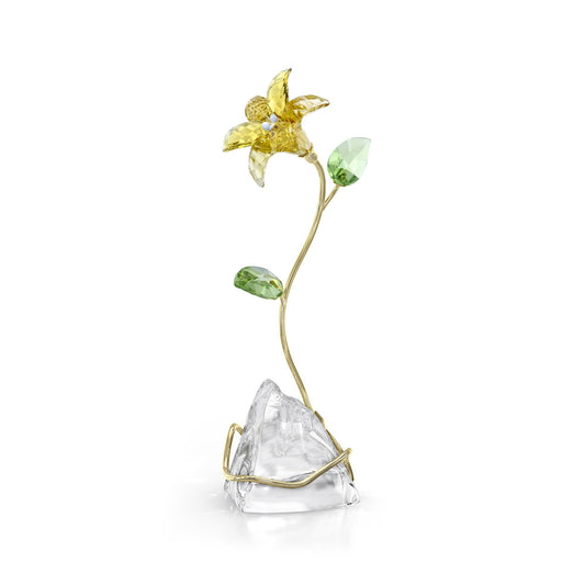 Florere Lirio